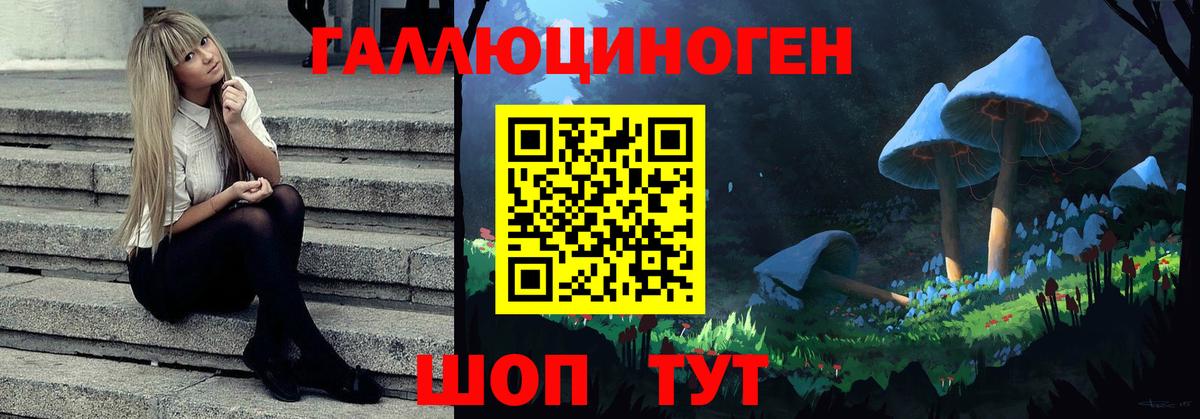 Галлюциногенные грибы Magic Shrooms  Вход с VPN  Качканар 